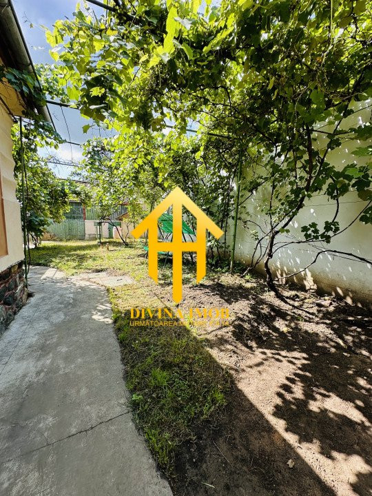 Casă individuală de vânzare Ocna Sibiului, 1063 mp teren