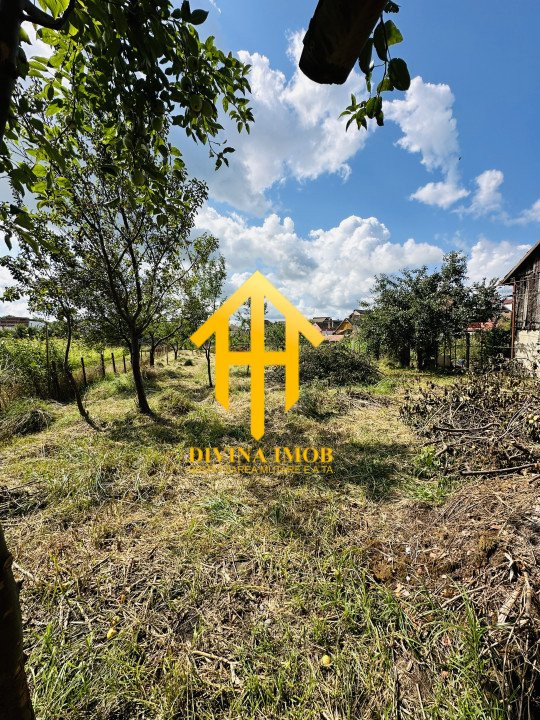 Casă individuală de vânzare Ocna Sibiului, 1063 mp teren